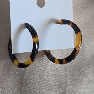 Classic Tortoiseshell Hoop Earrings